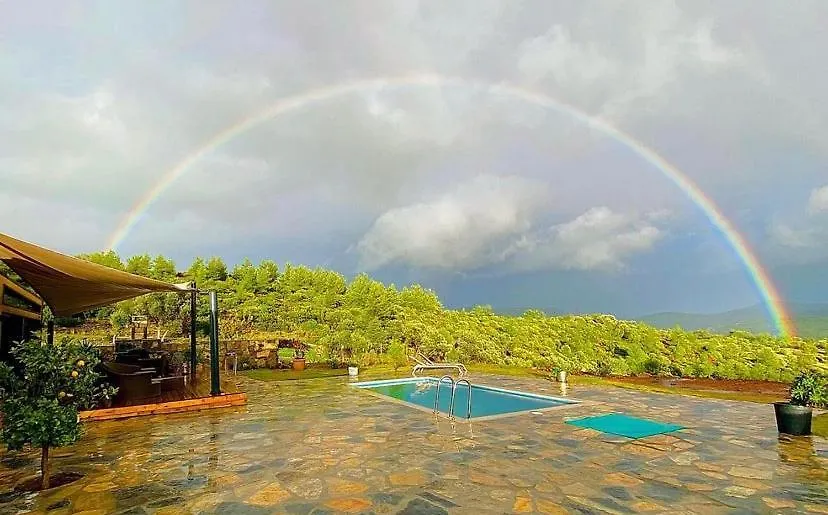 בית נופש Tiny House Bodrum Yaliciftlik Ciftlikno50 טורקיה