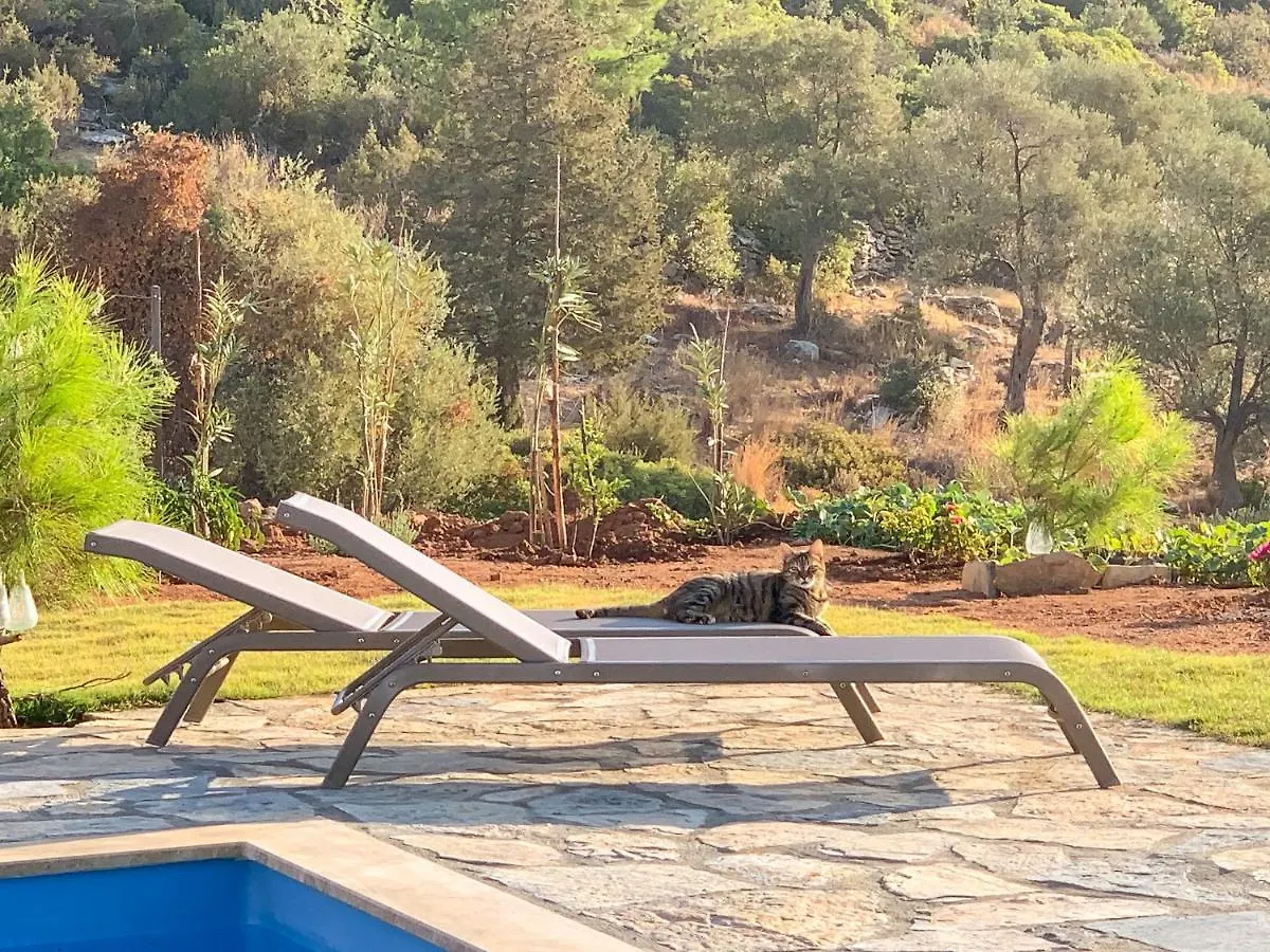 Tiny House Bodrum Yaliciftlik Ciftlikno50 בית נופש