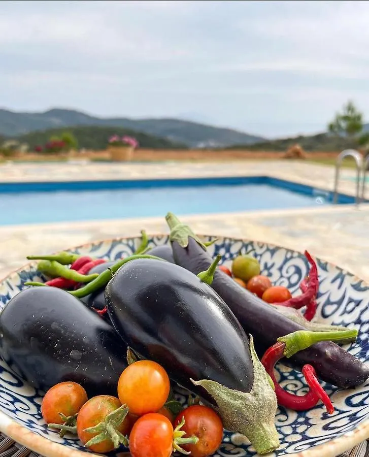 Tiny House Bodrum Yaliciftlik Ciftlikno50 טורקיה